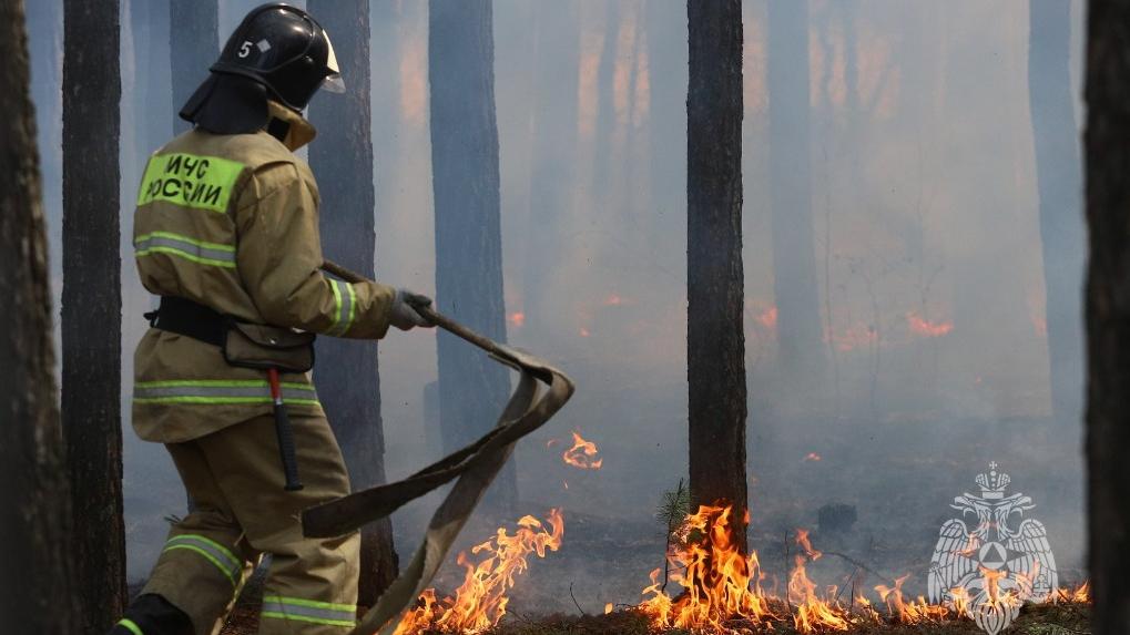 МЧС предупредило о высокой вероятности лесных пожаров в четырёх районах НСО