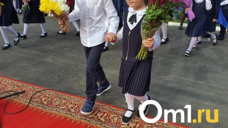 Шелест выложил инструкцию для омичей, которые хотят записать детей в первый класс