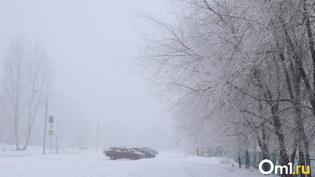 Штраф рискуют получить родители, сын которых оказался брошенным на улицы в лютый мороз в Бердске