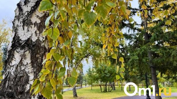 Омск накроет ещё одна волна бабьего лета