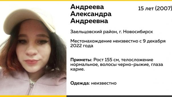 «Сбежала из больницы»: в Новосибирске без вести пропала 15-летняя девочка