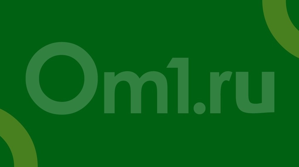 Воспитывала избиениями: истязавшая четырёхлетнюю дочь жительница Новосибирской области получила срок