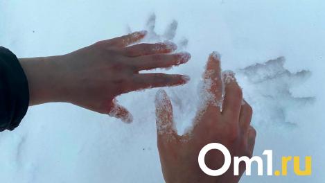 Омичка перед Новым годом всадила нож в грудь любовника