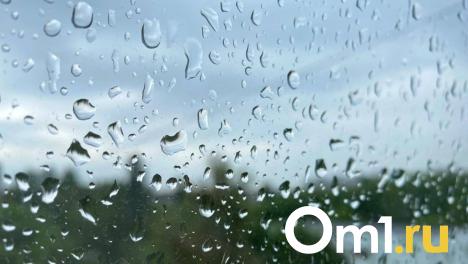Опубликован прогноз погоды на следующую неделю в Омске