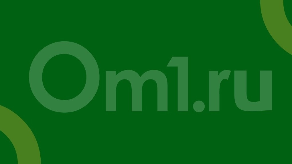 Прокуратура требует наказать полицейских за бездействие во время избиения мальчика у ГПНТБ в Новосибирске