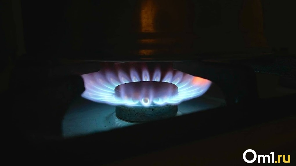 Омская РЭК установила новые цены на природный газ