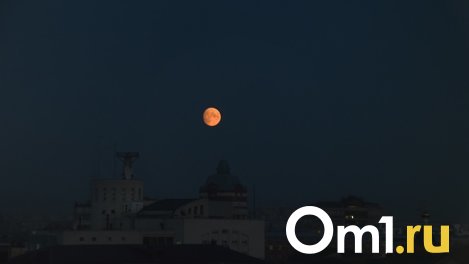 Омичи смогут наблюдать звездопад Персеиды