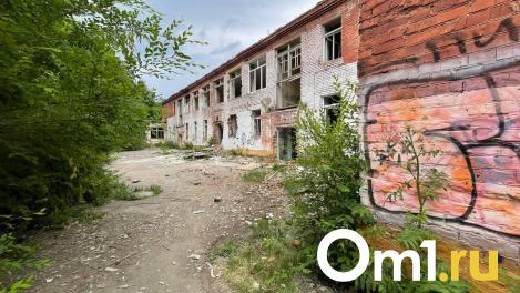 Кидают камни: омские дети устроили беспредел на руинах детсада