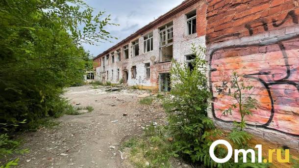 Кидают камни: омские дети устроили беспредел на руинах детсада
