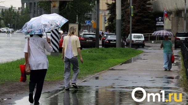 Синоптики дали прогноз, когда в Омской области прекратятся дожди