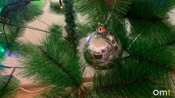 Эксперты рассказали, как не стать жертвой мошенников в Новый год