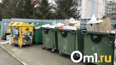 18,7 млн рублей выделят Новосибирской области на закупку контейнеров для раздельного сбора мусора