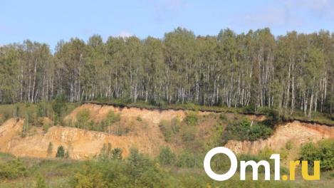 Омичи не смогут посещать леса до конца мая