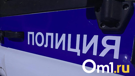 В Новосибирске пропала девочка-подросток. Она ушла в гости к неизвестной подруге