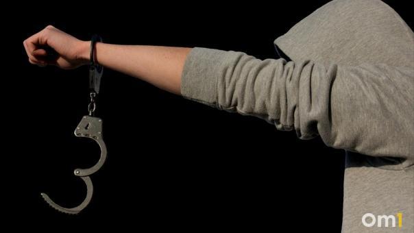 Осуждённые смогут отработать срок в парке 300-летия Омска