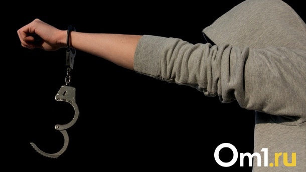 Осуждённые смогут отработать срок в парке 300-летия Омска