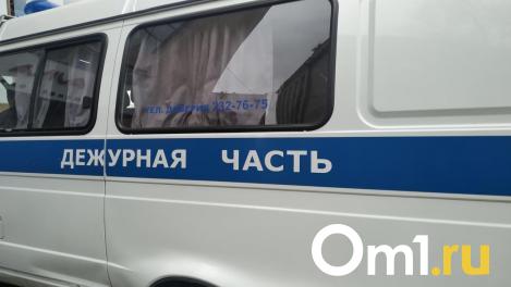 Подозреваемых в диверсии на железной дороге арестовали в Новосибирске
