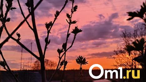 В Омской области ожидается мощное потепление до летних температур