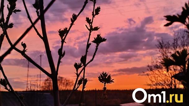 В Омской области ожидается мощное потепление до летних температур