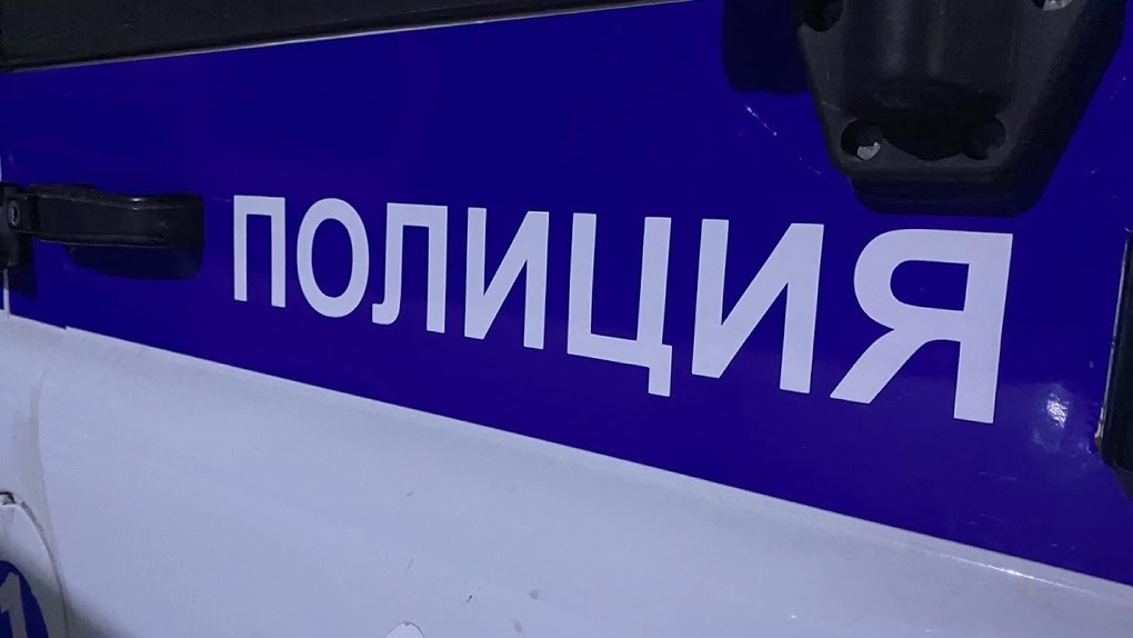 В Омской области прохожий украл дорожный знак для личных нужд