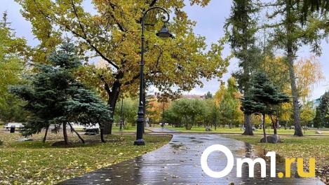 В Омске закупят восемь новых тротуарных катков