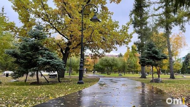 В Омске закупят восемь новых тротуарных катков