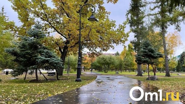 В Омске закупят восемь новых тротуарных катков