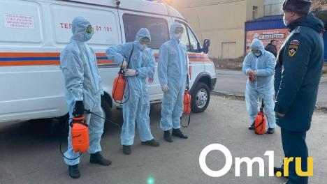 В Китае обнаружили новый вирус. Грозит ли он омичам?