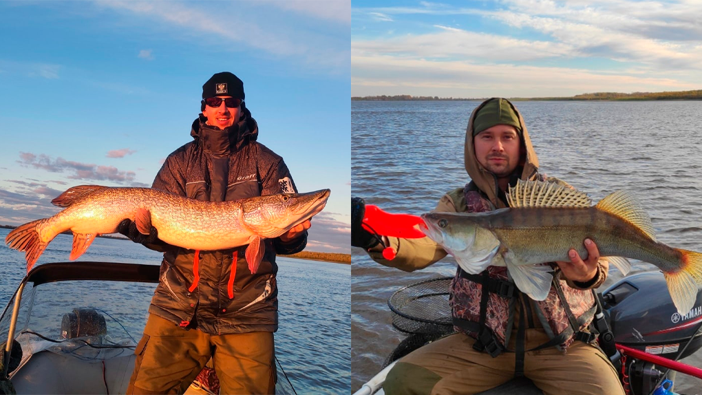 До 9 кг: огромных щук поймал новосибирец во время рыбалки