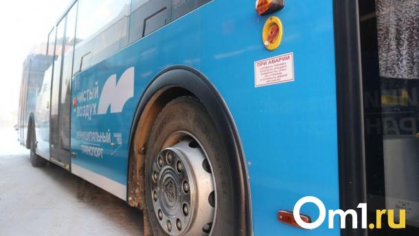 Хоценко планирует перекрасить весь общественный транспорт Омска