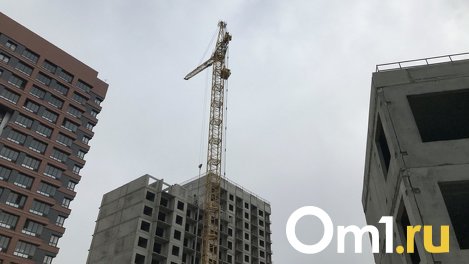 В августе объявят аукцион на застройку новосибирского Академгородка