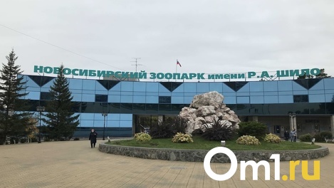 Льготные билеты подорожали в Новосибирском зоопарке
