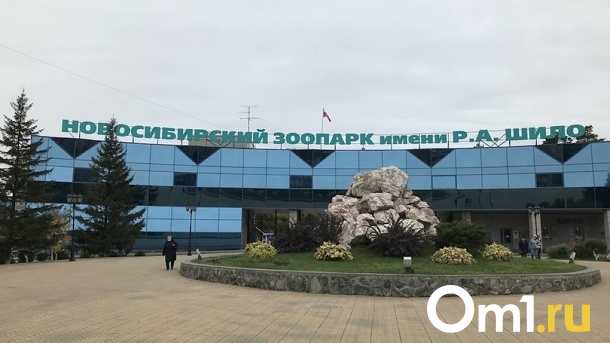 Льготные билеты подорожали в Новосибирском зоопарке