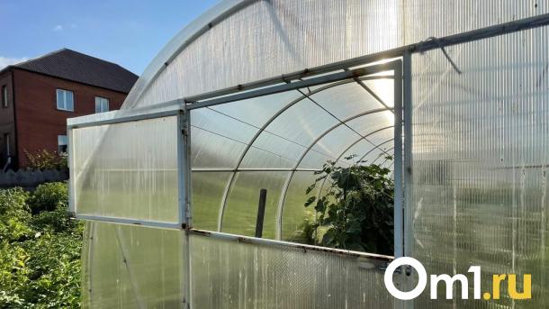 Под Омском продают дачу-крошку за 45 тысяч рублей