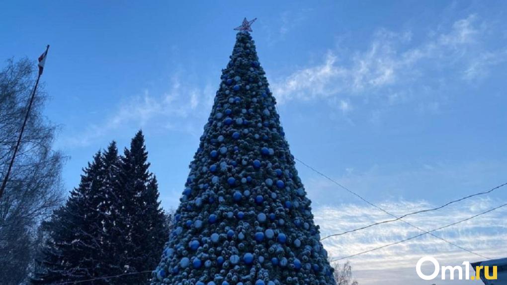 Погода на новогодние праздники в Омской области будет разнообразной