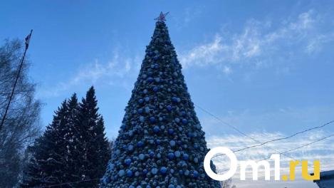 Погода на новогодние праздники в Омской области будет разнообразной