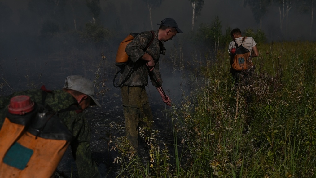 В минувшие выходные в Омской области ликвидировали два лесных пожара
