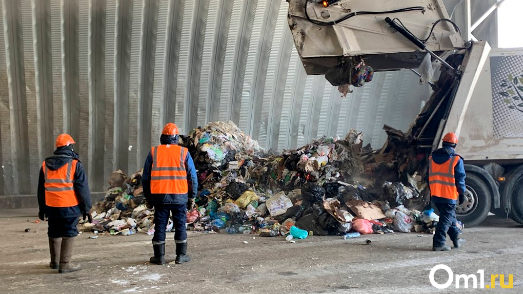 Новосибирский мусорный полигон в Пашино рекультивируют в течение двух лет