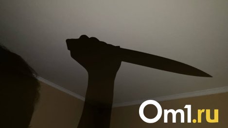 Омский бездомный зарезал мужчину в его собственной квартире