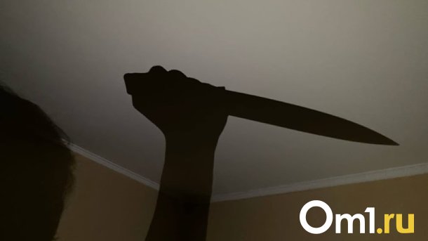 Омский бездомный зарезал мужчину в его собственной квартире