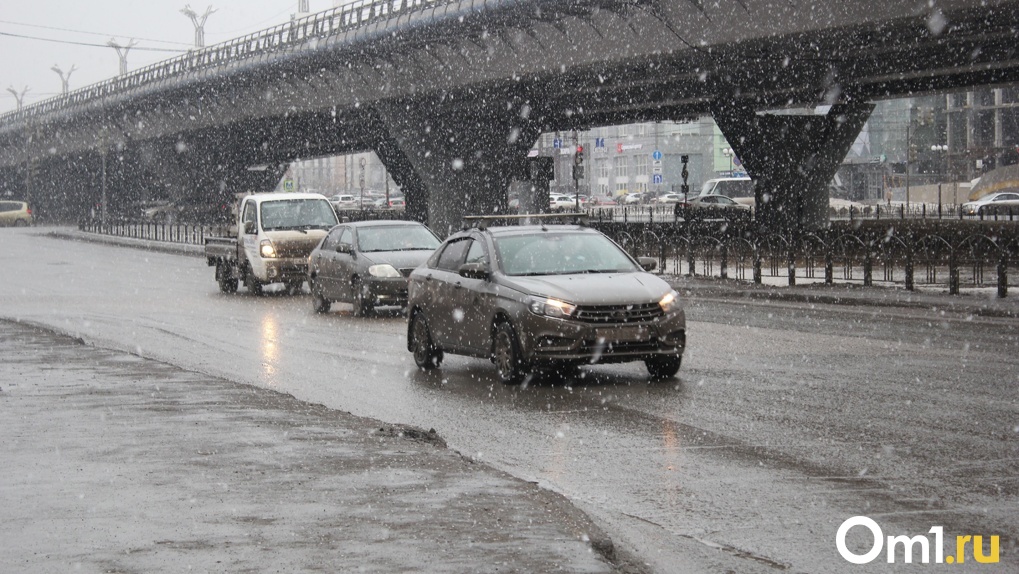 Аномальные заморозки и мокрый снег накроют Новосибирскую область