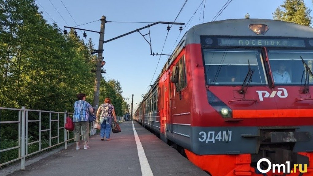 Электричка называевск омск