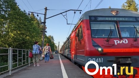 Электричка из Омска до Называевска будет ходить по изменённому расписанию