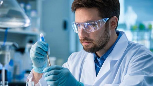 DIANA vs конкуренты: какие неожиданные изобретения показали в Академпарке Новосибирска