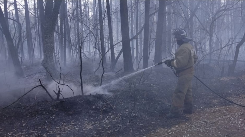В четырёх километрах от детского лагеря «Берёзка» под Омском произошло возгорание травы