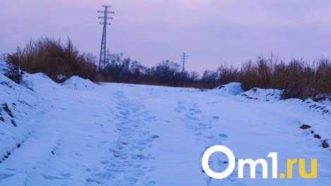 В Омске пожаловались на погребённую под снегом дорогу, на которой даже внедорожники застревают