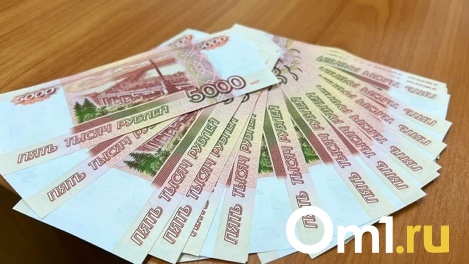 А как же котики и собачки? В Омской области судят бывшую начальницу ветстанции за взяточничество