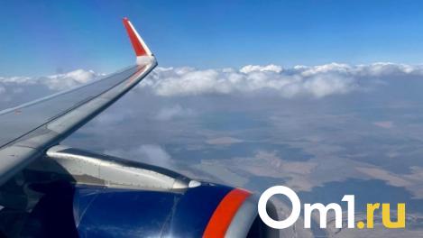 Три самолёта не смогли вовремя улететь в Москву из Омска