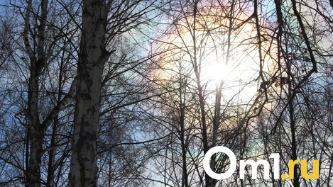 Потепление до +18 градусов. Опубликован прогноз погоды на текущую неделю в Новосибирске