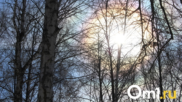 Потепление до +18 градусов. Опубликован прогноз погоды на текущую неделю в Новосибирске